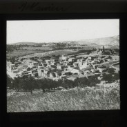 Böhl glass slide 62.1/2107